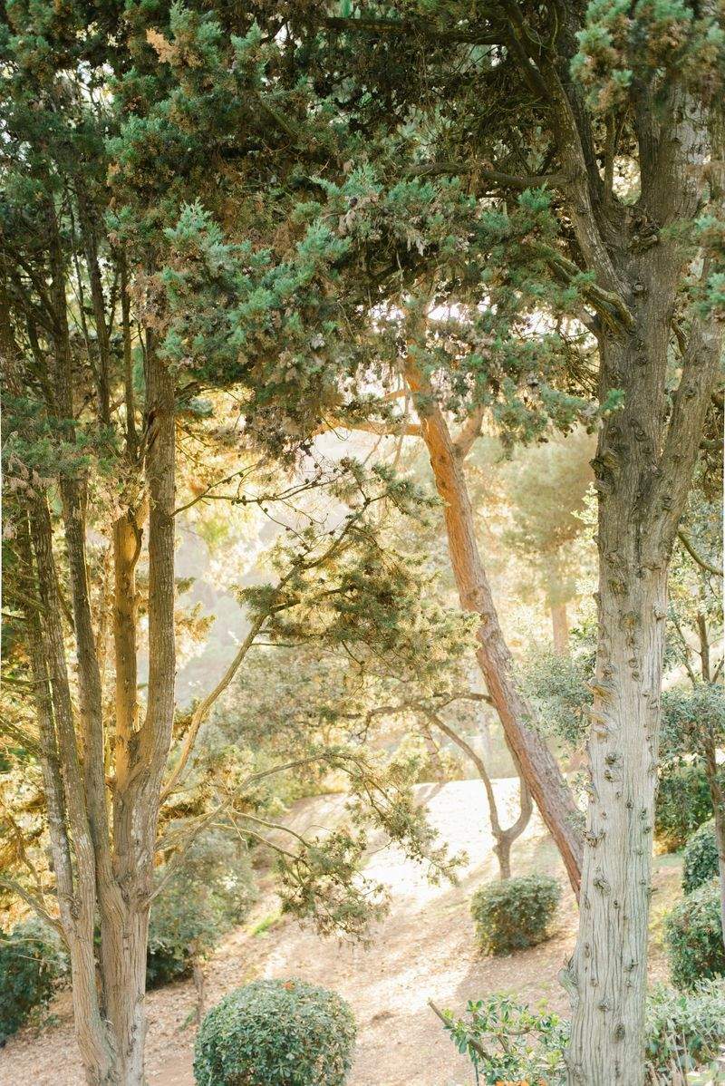 GartenZauber GmbH - Image 6